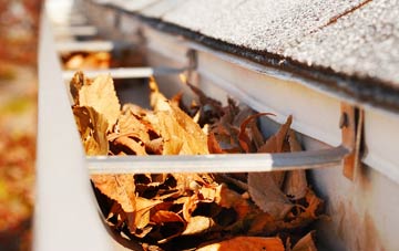 Linsidemore gutter cleaning companies