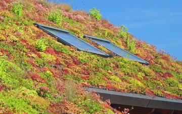 Linsidemore living roof systems