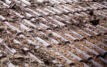 Linsidemore roof cleaning companies