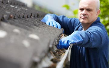 cleaning and inspecting Linsidemore roofs