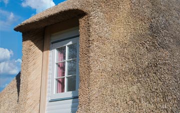 Linsidemore thatch roof disadvantages