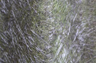 Linsidemore fibreglass roof work